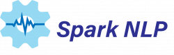 Spark NLP Formare în România