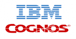 IBM Cognos Training in România