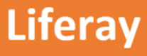 Liferay Training in România