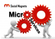 Microservices Training in România