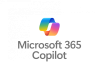 Category for Microsoft 365 Copilot Training in Romania