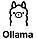 Ollama Training in România