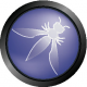 OWASP Training in România