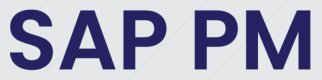 Category for SAP PM Training in România