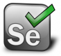 Selenium Training in România