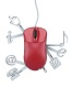 Web Services Training in Romania